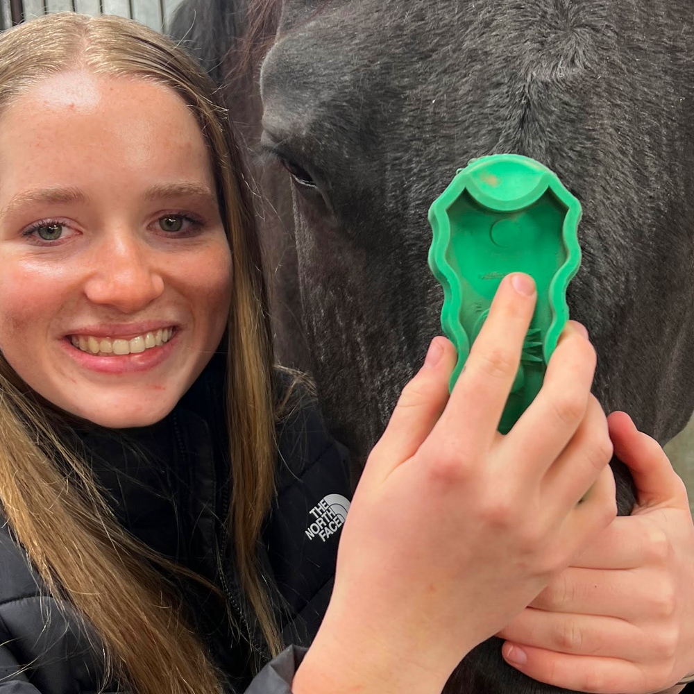 GroomBug brushing horse by young girl